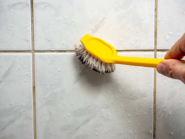 Best Affordable Mold Removal  in Prien, LA